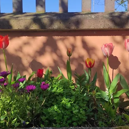 A Casa Di Frank Affittacamere